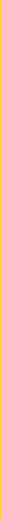 vline.gif (834 bytes)