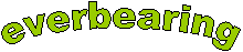 everbearing