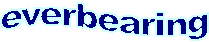 EverB