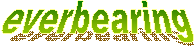 everbearing