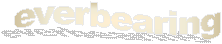 EverB
