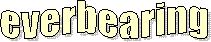 everbearing