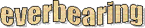 everbearing