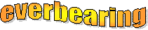 EverB