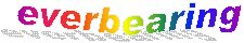 everbearing